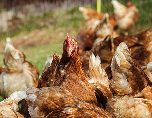 Comment 15 % deviennent soudainement 80 %