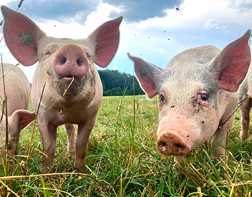 L’initiative pour des sorties en plein air apporte transparence et équité